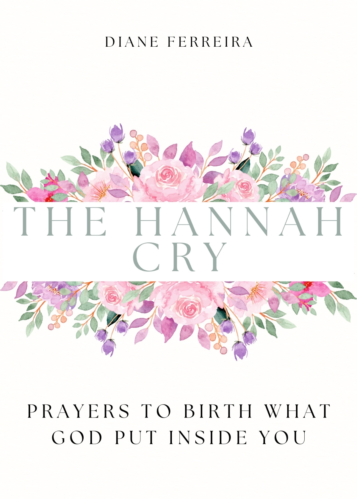 book cover for The Hannah Cry