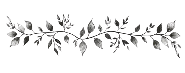 a black and white vine